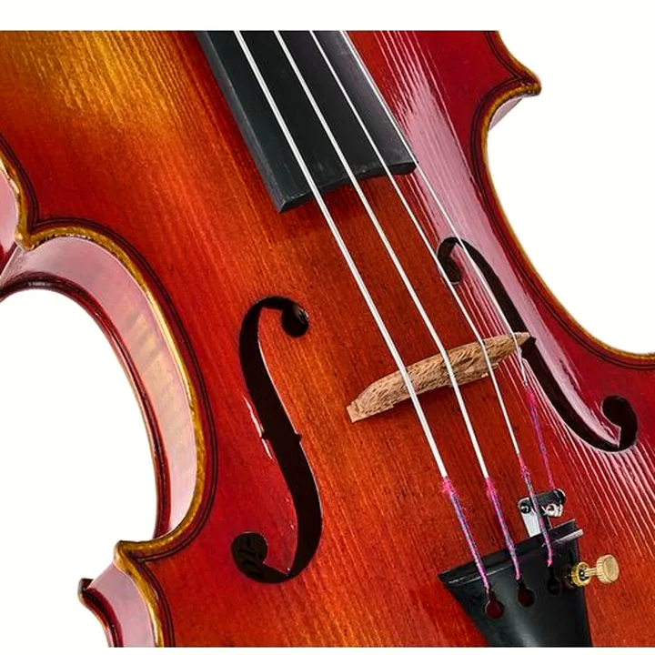 L’alto Hidersine Venezia Antiqued Viola Set 14″ – Comparatif, Test et Avis