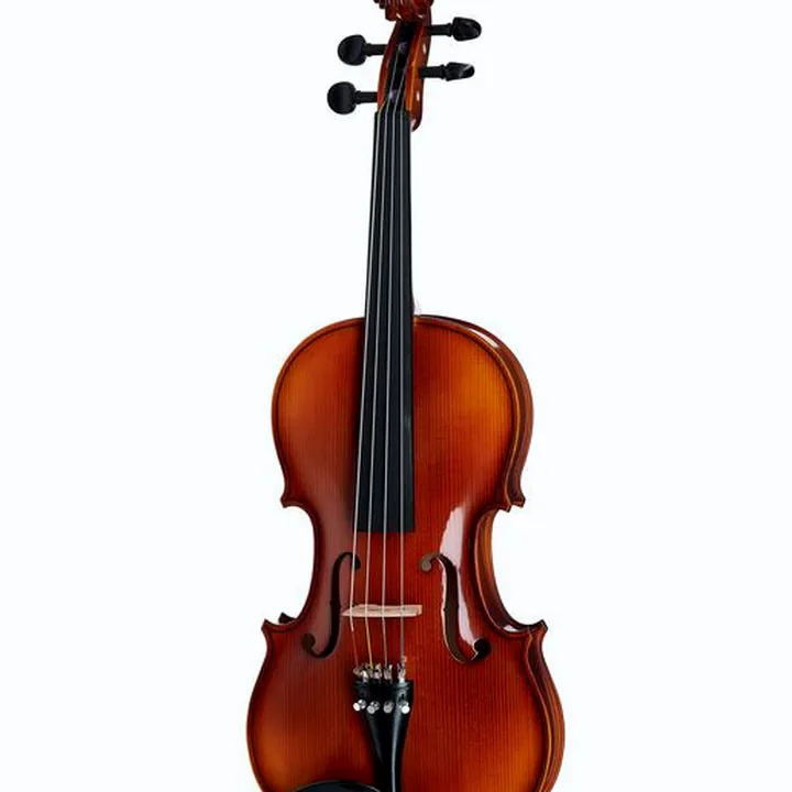 L’alto Roth & Junius Europe 15″ Student Viola Set : Avis, Test & Comparatif