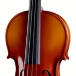 L’alto Roth & Junius Europe 16″ Student Viola Set | Test, Avis & Comparatif