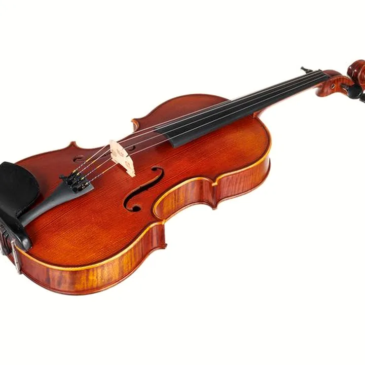 L’alto Scala Vilagio Bohemia Student Viola 15″ Avis et Test