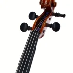 L’alto Scala Vilagio F.H. Gasparo da Salo Viola WN , Comparatif, Avis, Test