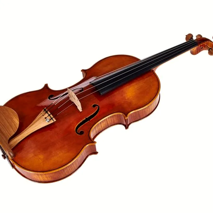 L’alto Scala Vilagio R.O. A. Guarneri Conte Vitale – Test, Avis, Comparatif