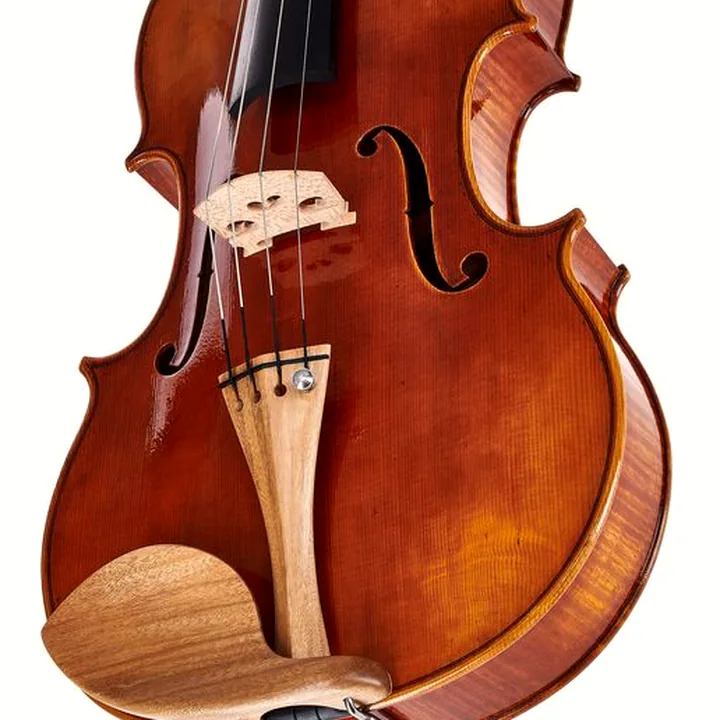 L’alto Scala Vilagio R.O. A. Guarneri Conte Vitale – Test, Avis, Comparatif