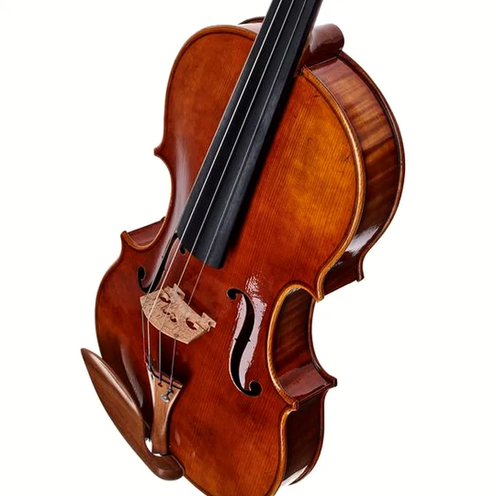 L’alto Scala Vilagio R.O. Stradivari Archinto 1696 – Test, Comparatif et Avis