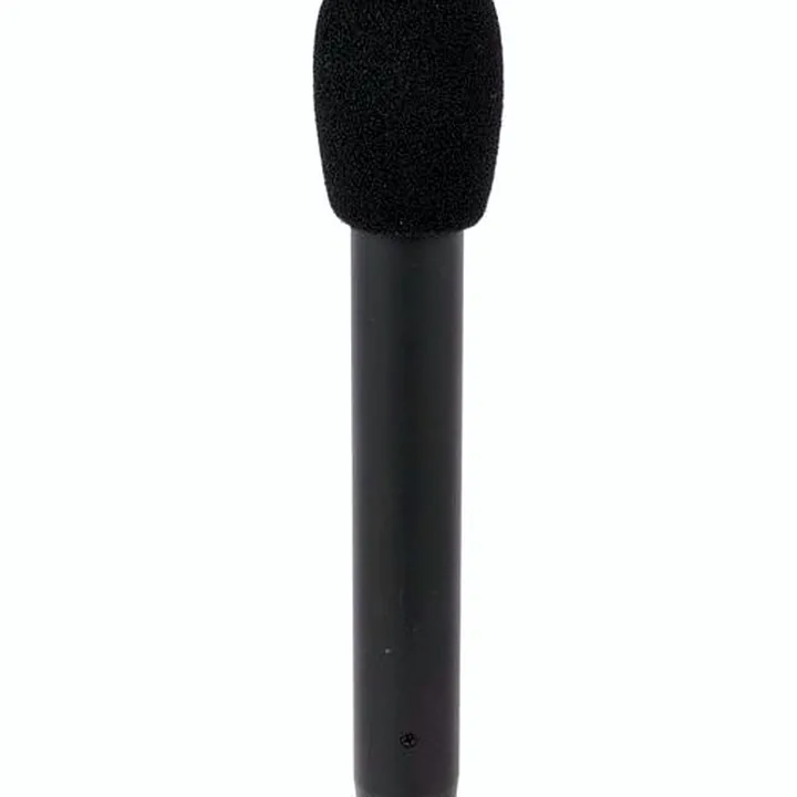 Micro Audio-Technica AT 4022 : Test, Avis et Comparatif