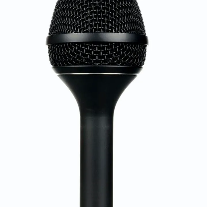 Le micro DPA 4055 Kick-Drum Microphone – Avis, Test & Comparatif