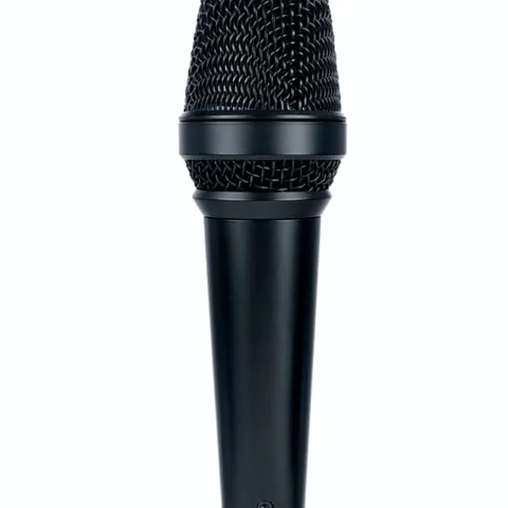 Le micro Lewitt MTP 550 DM Avis, Test