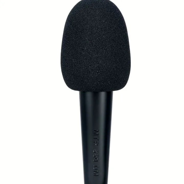 Le micro Lewitt MTP 550 DM Avis, Test