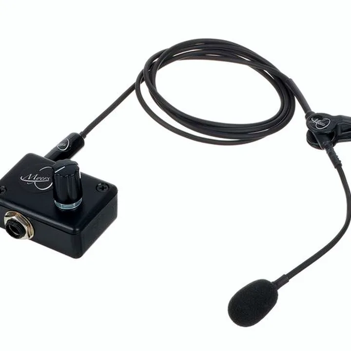 Le micro Myers Pickups The Master Flute Avis et Test