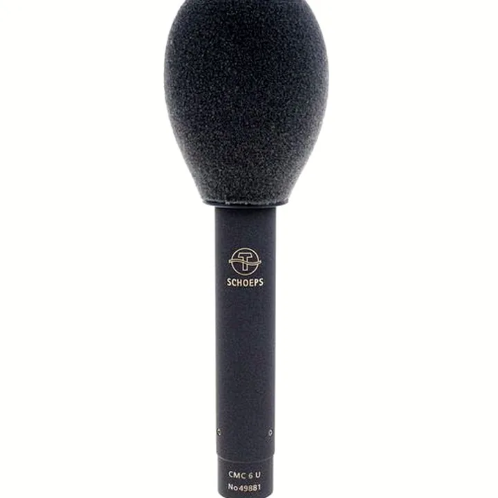 Le micro Schoeps Stereo-Set MK 21 / Avis, Test & Comparatif