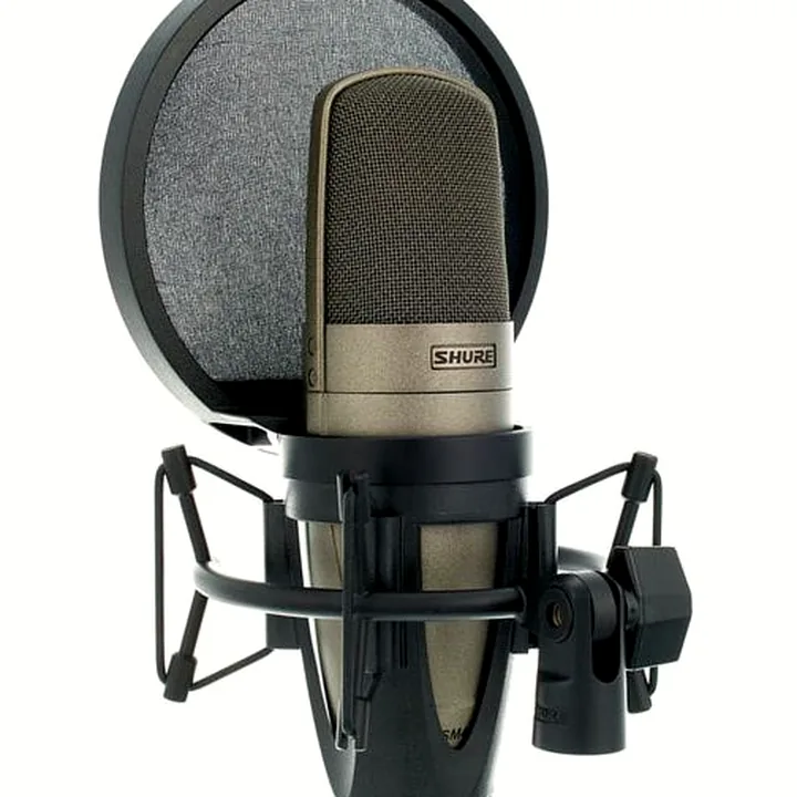 Le micro Shure KSM42 SG – Comparatif, Avis & Test