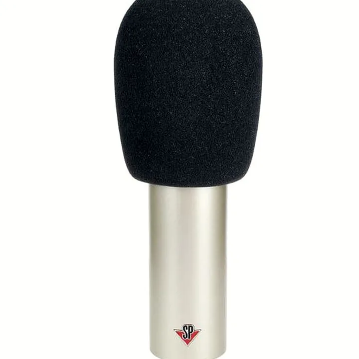 Le micro Studio Projects C1 Mk2 , Comparatif, Avis, Test