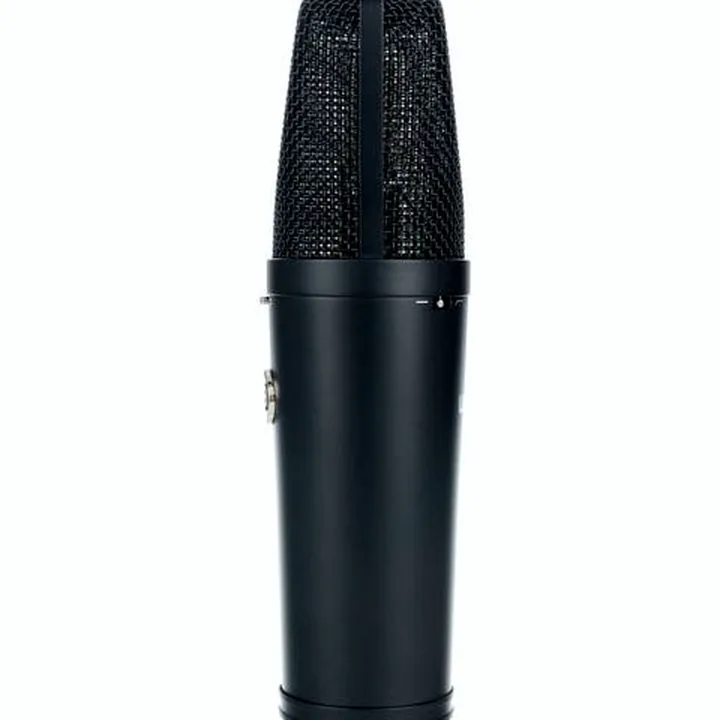 Le micro Warm Audio WA-87 R2B / Test, Avis