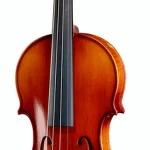 Le violon acoustique Edgar Russ Linea Mauro Macchi Violin Gua. | Test, Avis & Comparatif