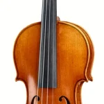 Le violon acoustique Ernst Heinrich Roth 61/VI-R Master Violin 4/4 | Test, Avis & Comparatif