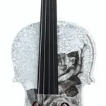 Le violon acoustique Fidelio Student Violin Set 4/4 | Test, Avis & Comparatif