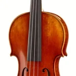 Le violon acoustique Franz Sandner Black Lady Violin 4/4 | Test, Avis & Comparatif