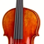 Le violon acoustique Franz Sandner Schönbach Violin Mod.107 4/4 | Test, Avis & Comparatif