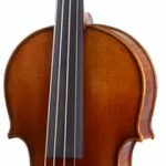 Le violon acoustique Gewa Germania 11 Prag Ant. Violin | Test, Avis & Comparatif