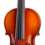 Le violon acoustique Rainer W. Leonhardt No. 100/1 Master Violin 4/4 | Test, Avis & Comparatif