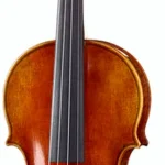 Le violon acoustique Rozanna`s Violins Butterfly Dream Violin 4/4 NA | Test, Avis & Comparatif