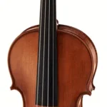 Le violon acoustique Startone Student I Violin Set 4/4 | Test, Avis & Comparatif