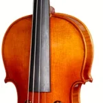 Le violon acoustique Stentor SR1018 Violinset 4/4 | Test, Avis & Comparatif