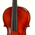 Le violon acoustique | Test, Avis & Comparatif