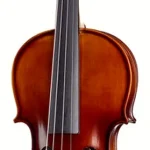Le violon acoustique Thomann Birdseye Maple Violin Set 4/4 | Test, Avis & Comparatif