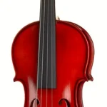 Le violon acoustique Thomann Black Rose Violin Set 4/4 | Test, Avis & Comparatif
