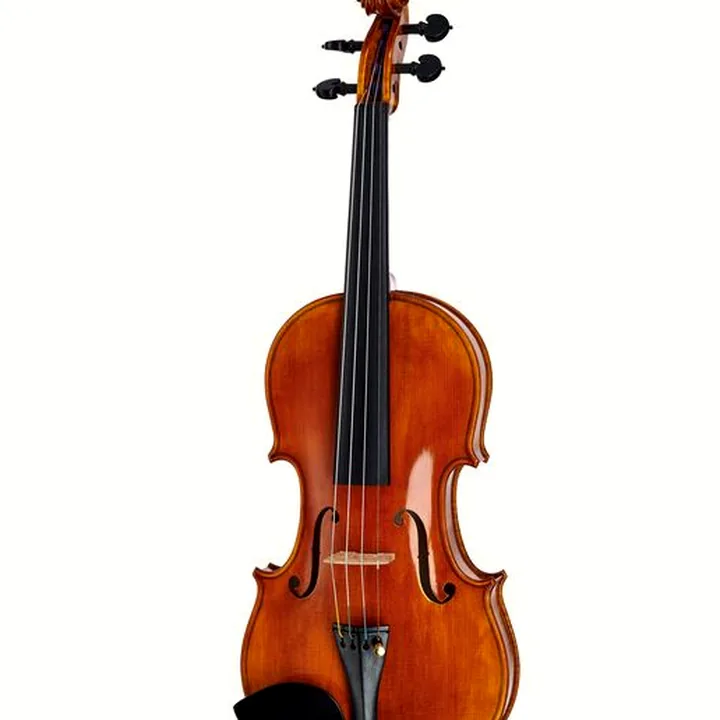 Le violon Conrad Götz Signature Golden State 136 Vn : Avis & Test