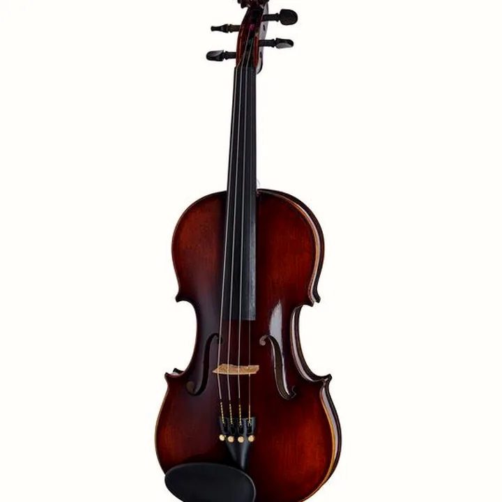 Le violon Franz Sandner 100th Anniversary Violin 4/4 Avis, Comparatif & Test