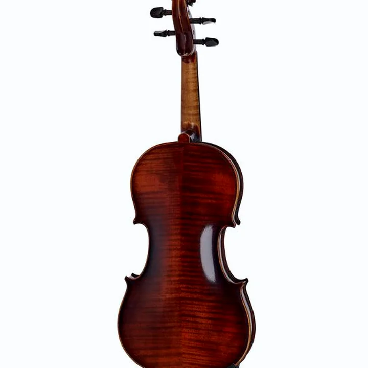 Le violon Franz Sandner 100th Anniversary Violin 4/4 Avis, Comparatif & Test