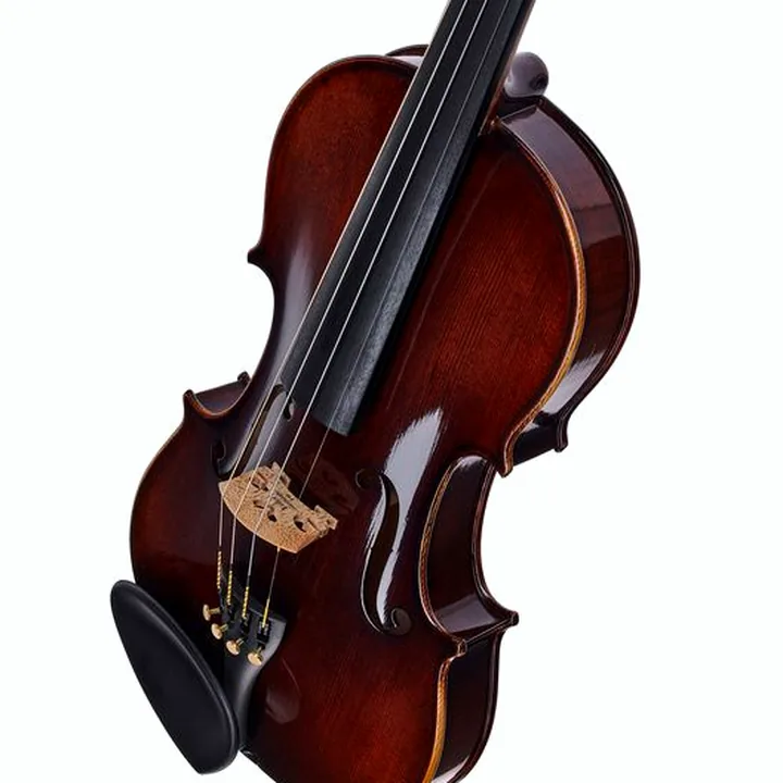 Le violon Franz Sandner 100th Anniversary Violin 4/4 Avis, Comparatif & Test