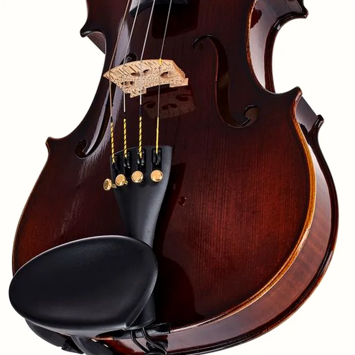 Le violon Franz Sandner 100th Anniversary Violin 4/4 Avis, Comparatif & Test