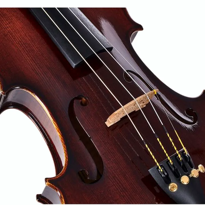 Le violon Franz Sandner 100th Anniversary Violin 4/4 Avis, Comparatif & Test
