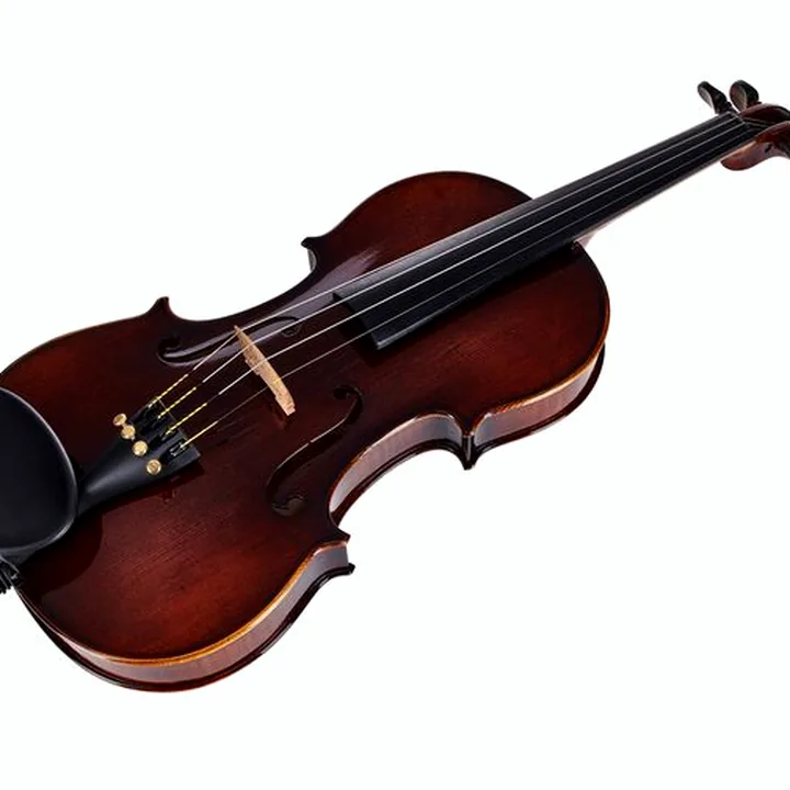 Le violon Franz Sandner 100th Anniversary Violin 4/4 Avis, Comparatif & Test