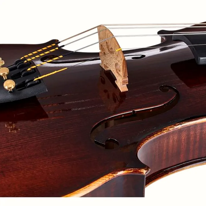 Le violon Franz Sandner 100th Anniversary Violin 4/4 Avis, Comparatif & Test