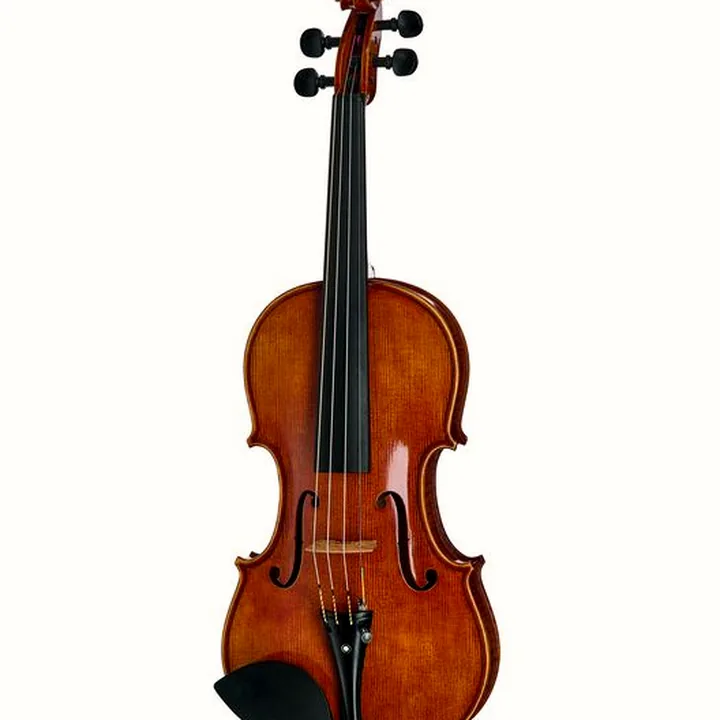 Le violon Franz Sandner Century De Luxe Strad. Pro Vn , Test, Avis