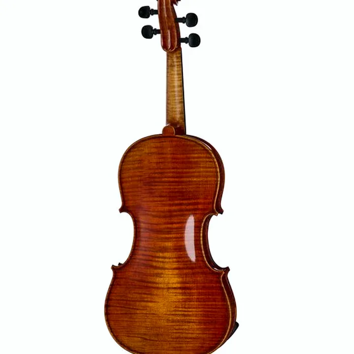 Le violon Franz Sandner Century De Luxe Strad. Pro Vn , Test, Avis