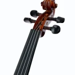 Test, Avis : Gewa Allegro Violin 4/4 SC LH CB