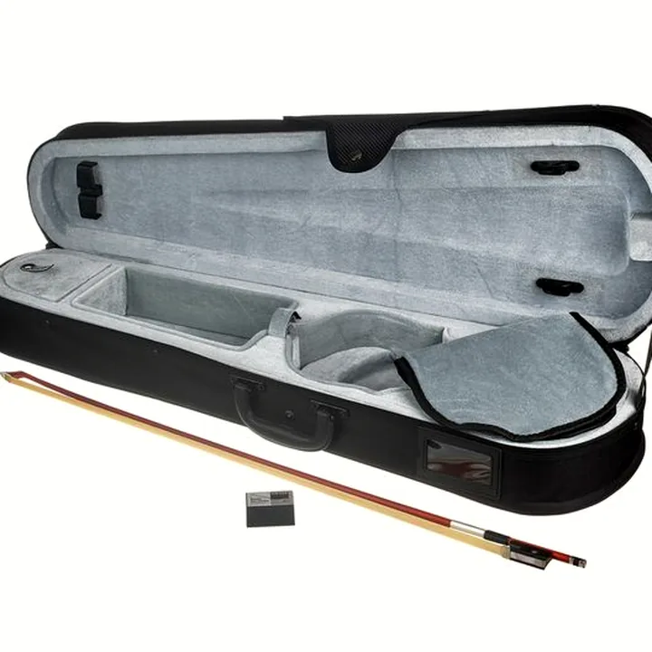 Test, Avis : Gewa Allegro Violin 4/4 SC LH CB