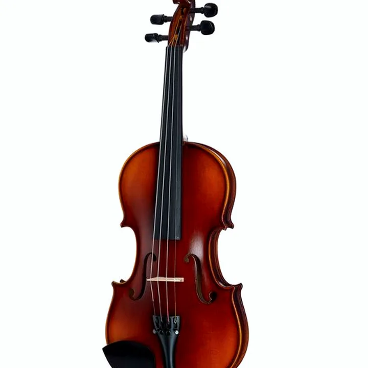 Avis & Test du violon Gewa Allegro Violin Set 4/4 OC CB