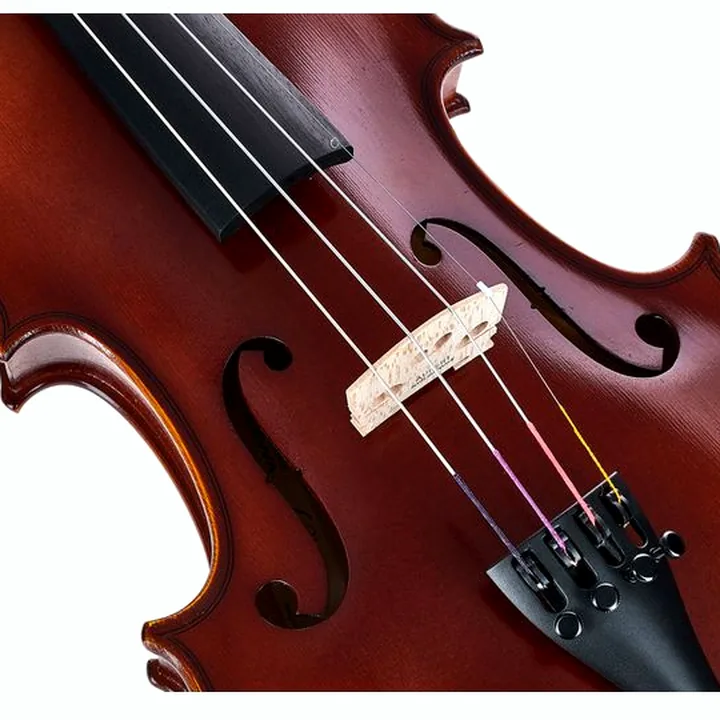 Avis & Test du violon Gewa Allegro Violin Set 4/4 OC CB
