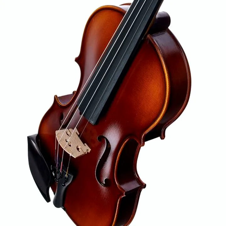 Avis & Test du violon Gewa Allegro Violin Set 4/4 OC CB