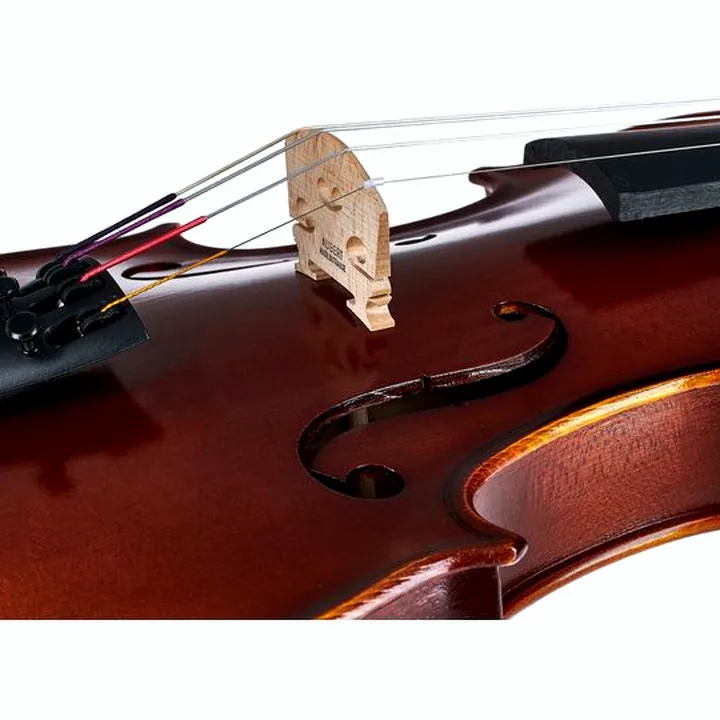 Avis & Test du violon Gewa Allegro Violin Set 4/4 OC CB