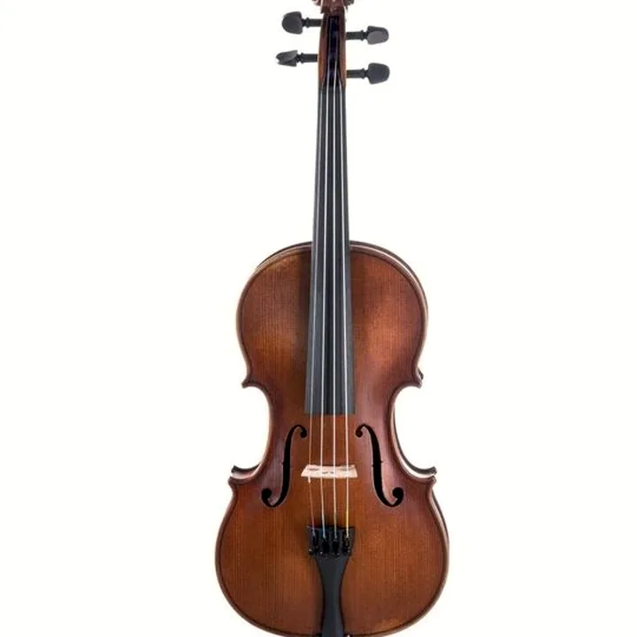 Le violon Gewa Germania 11L Prag Violin 4/4 , Test & Avis