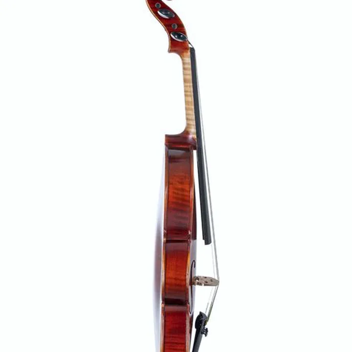Violon Gewa Ideale Violin Set 4/4 OC CB – Avis, Comparatif et Test