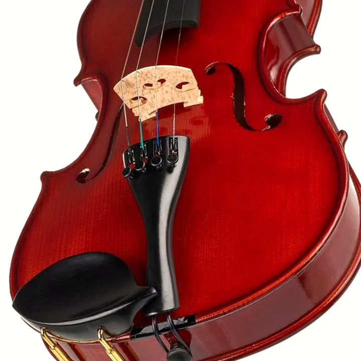 Violon Hamaril Violin Set 1A 4/4 : Test, Avis et Comparatif