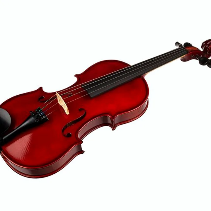 Violon Hamaril Violin Set 1A 4/4 : Test, Avis et Comparatif